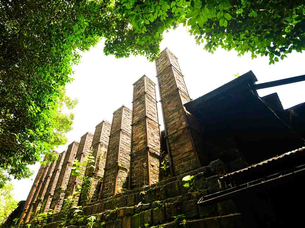 (株)ヤマキイカイ